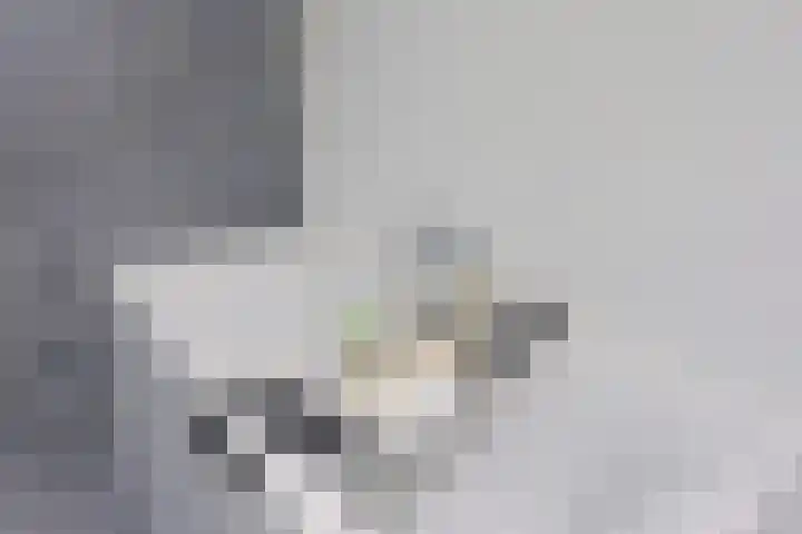 Marnixlaan 268 Utrecht thumbnail 10