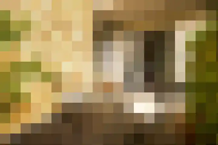 Marnixlaan 268 Utrecht thumbnail 29