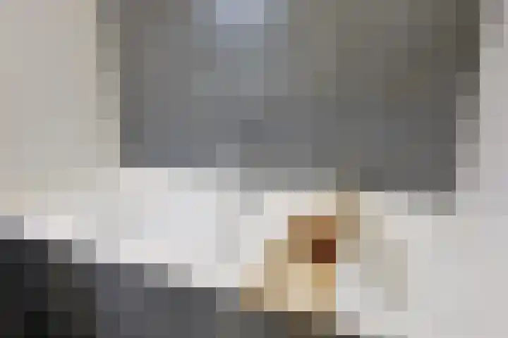 Marnixlaan 268 Utrecht thumbnail 31