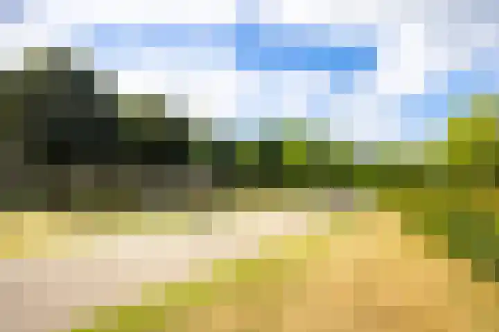 Marnixlaan 268 Utrecht thumbnail 41
