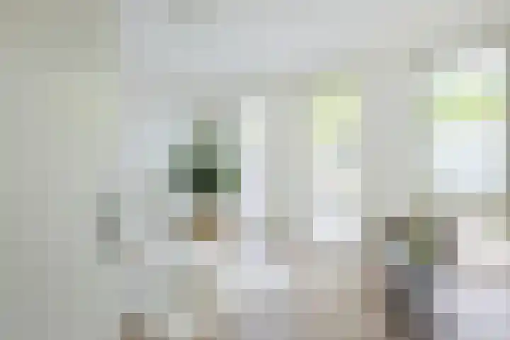 Marnixlaan 268 Utrecht thumbnail 6