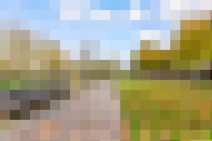 Marnixlaan 270 A Utrecht thumbnail 24