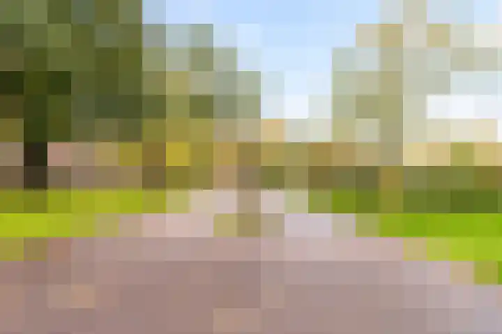 Marnixlaan 270 A Utrecht thumbnail 25