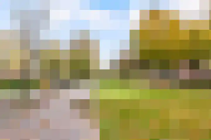 Marnixlaan 270 A Utrecht thumbnail 26