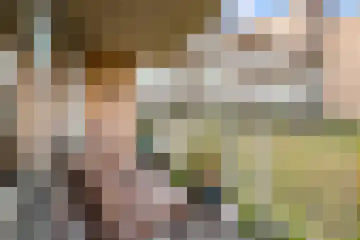 Marnixlaan 270 A Utrecht thumbnail 7
