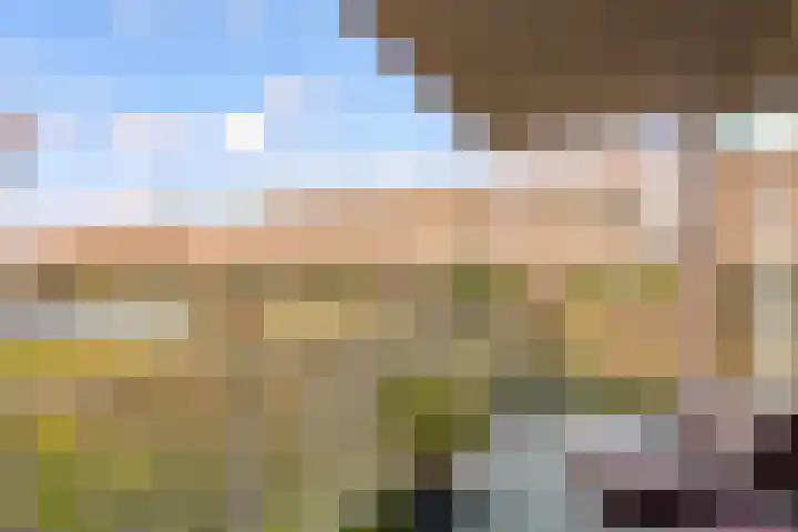Marnixlaan 270 A Utrecht thumbnail 8