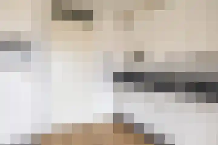 Marnixlaan 272 C Utrecht thumbnail 20