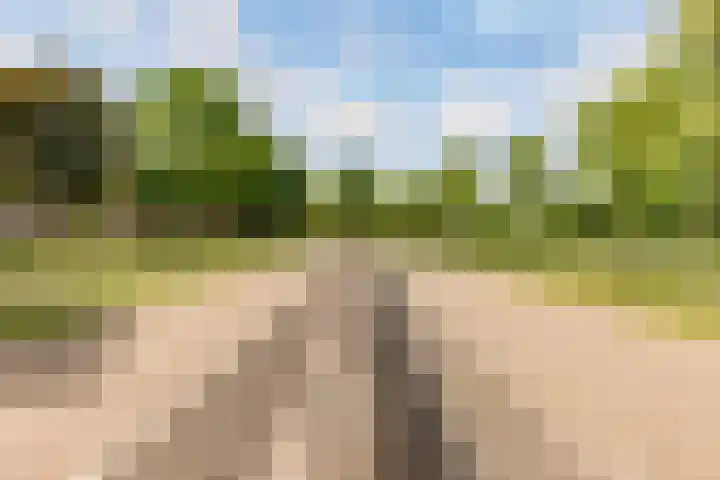 Marnixlaan 274 G Utrecht thumbnail 39