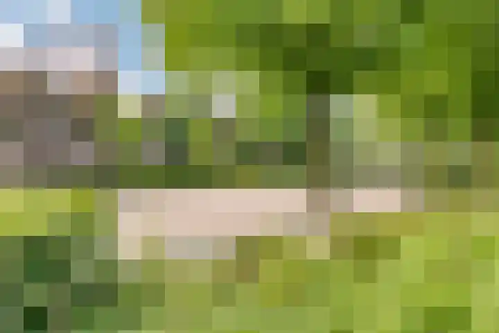 Marnixlaan 274 G Utrecht thumbnail 41