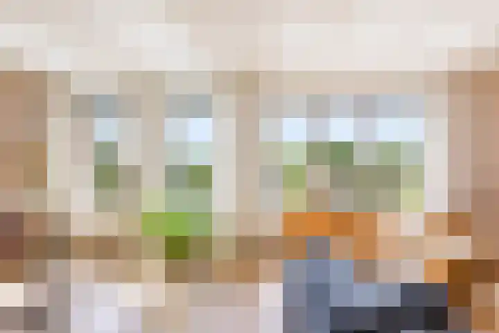 Marnixlaan 274 G Utrecht thumbnail 8
