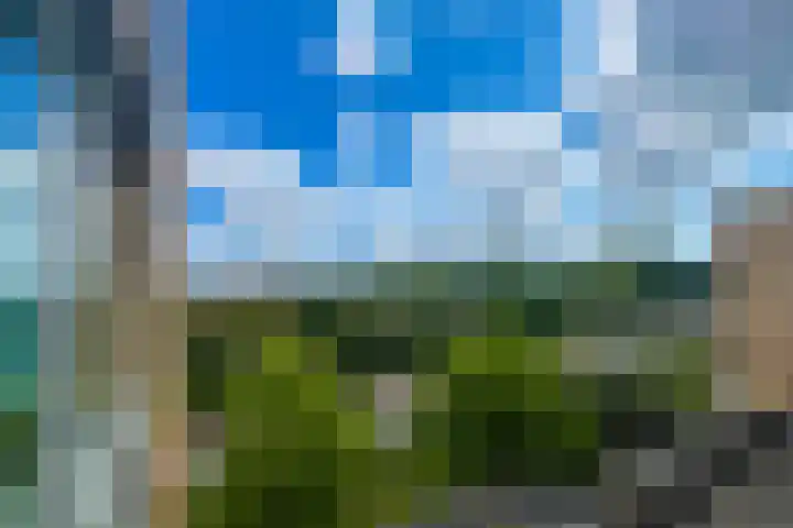 Marnixlaan 278 Utrecht thumbnail 17