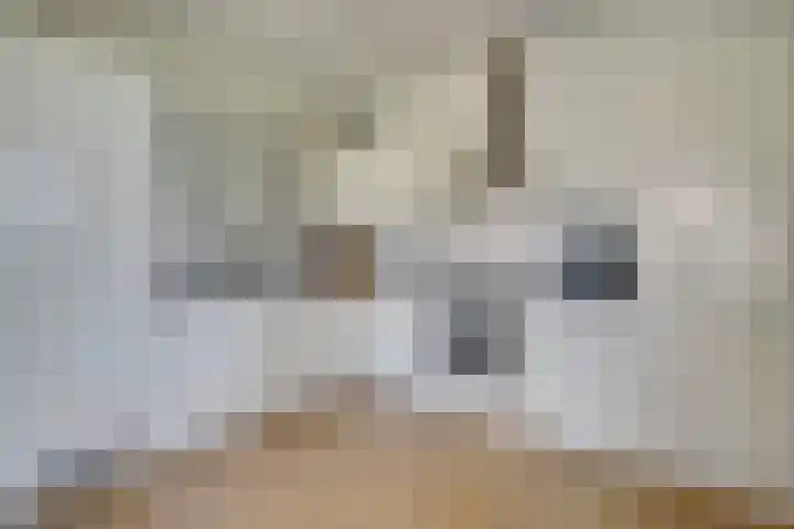 Marnixlaan 278 Utrecht thumbnail 18
