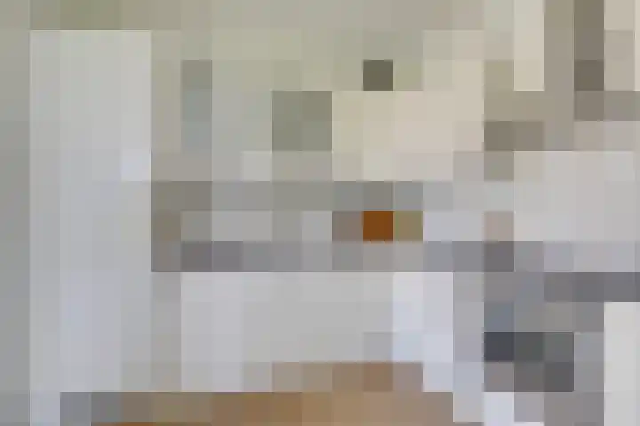 Marnixlaan 278 Utrecht thumbnail 19