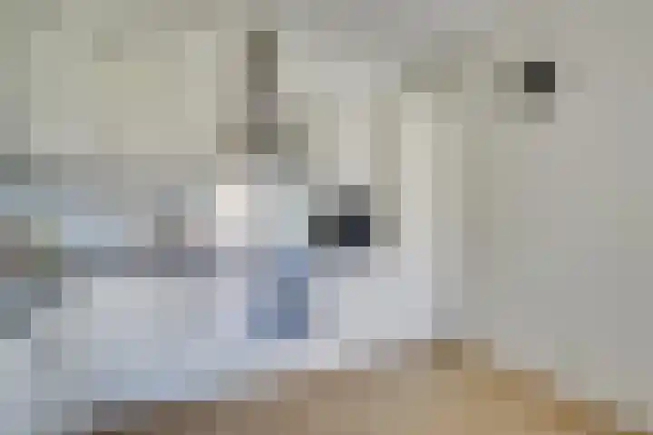 Marnixlaan 278 Utrecht thumbnail 20