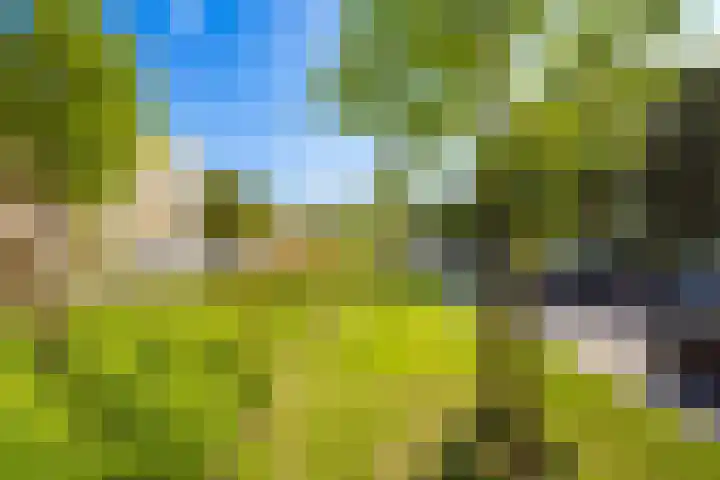 Marnixlaan 278 Utrecht thumbnail 32
