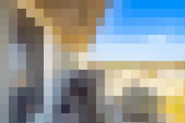 Marnixlaan 278 Utrecht thumbnail 8