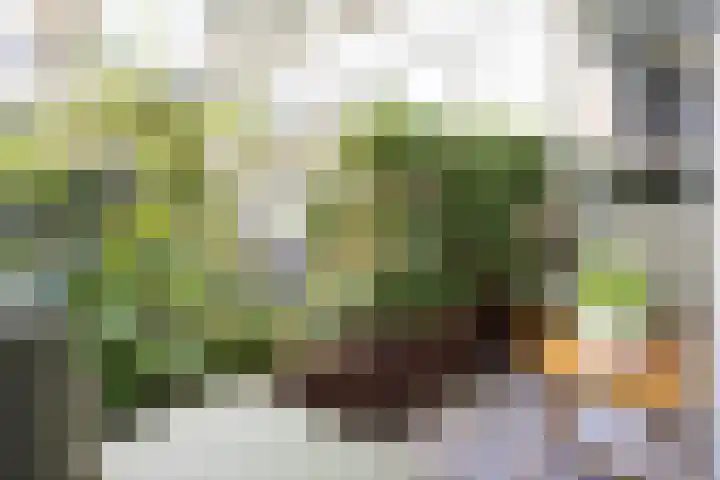 Marnixlaan 286 Utrecht thumbnail 28