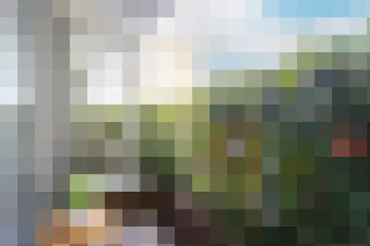 Marnixlaan 286 Utrecht thumbnail 29