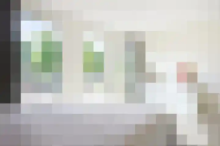 Marnixlaan 286 Utrecht thumbnail 8