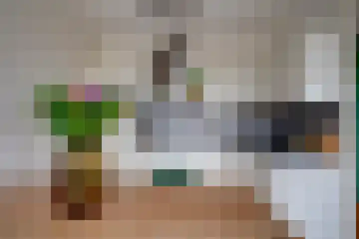 Marnixlaan 294 A Utrecht thumbnail 10