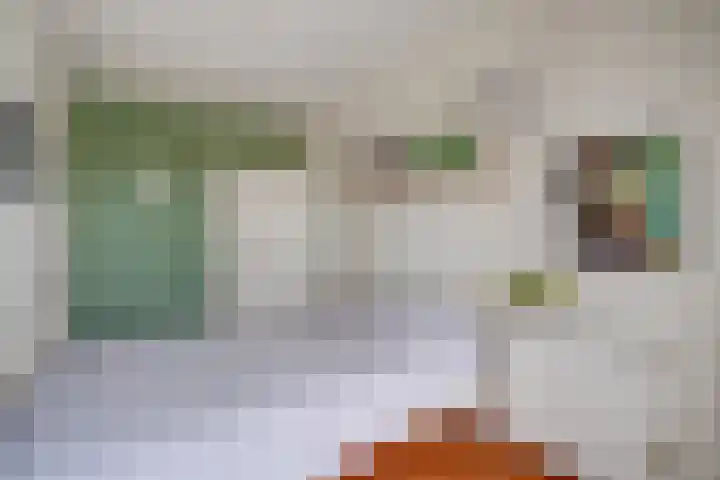 Marnixlaan 294 A Utrecht thumbnail 19