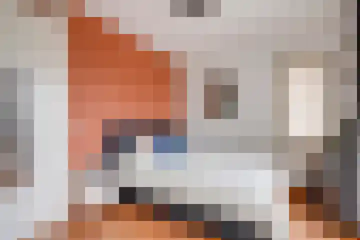 Marnixlaan 294 A Utrecht thumbnail 23