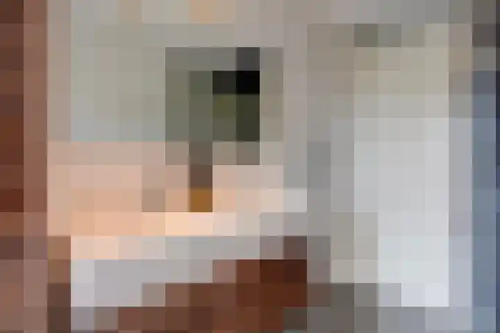 Marnixlaan 294 A Utrecht thumbnail 26