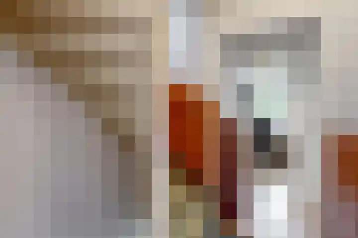 Marnixlaan 3 Driehuis NH thumbnail 15