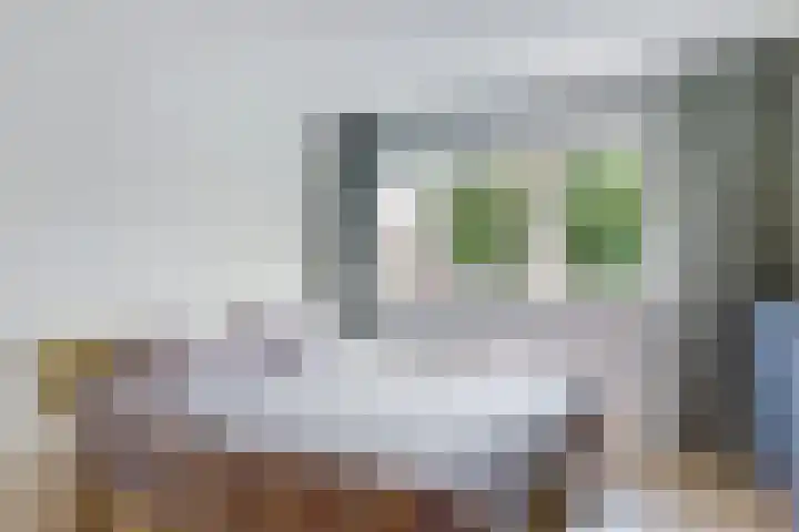 Marnixlaan 3 Driehuis NH thumbnail 17