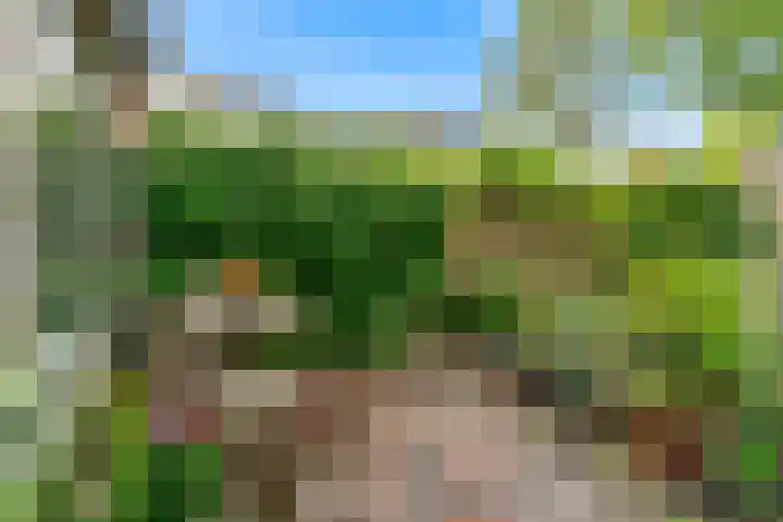 Marnixlaan 3 Driehuis NH thumbnail 30