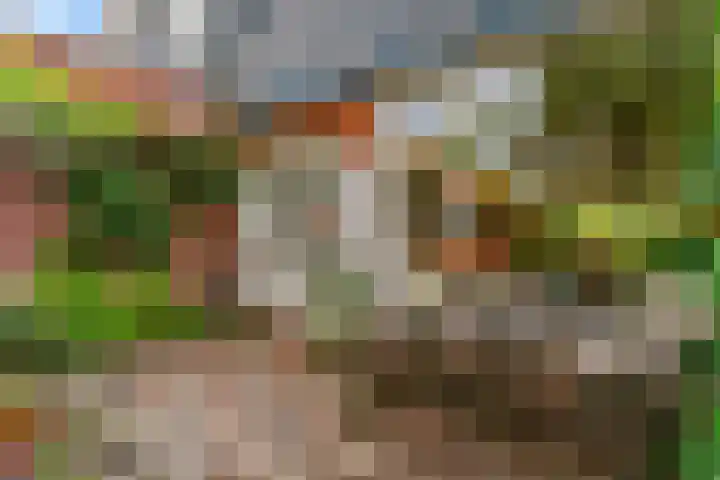 Marnixlaan 3 Driehuis NH thumbnail 32