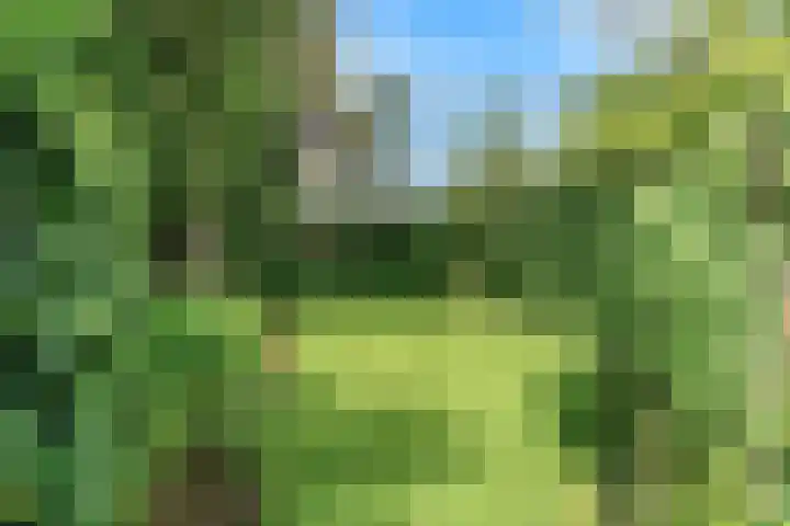 Marnixlaan 3 Driehuis NH thumbnail 33