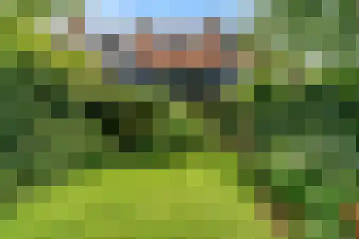 Marnixlaan 3 Driehuis NH thumbnail 34