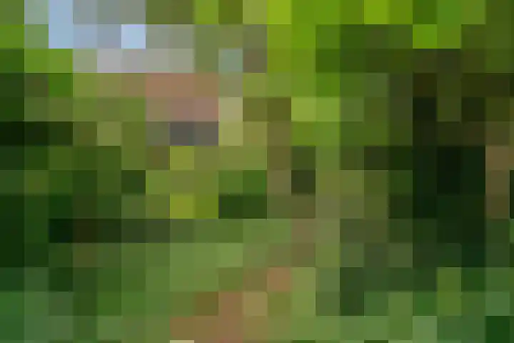 Marnixlaan 3 Driehuis NH thumbnail 35