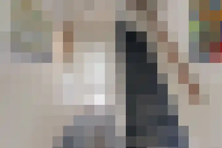 Marnixlaan 3 Driehuis NH thumbnail 5