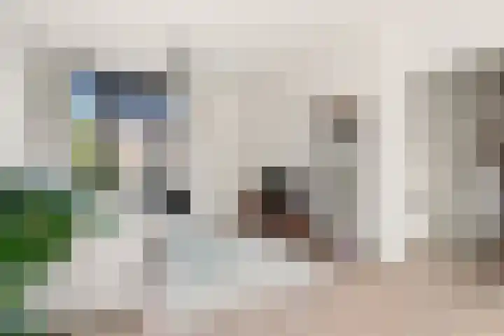Marnixlaan 346 Utrecht thumbnail 10