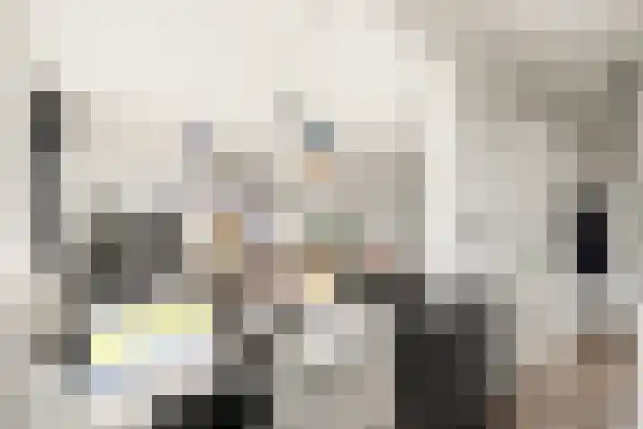 Marnixlaan 346 Utrecht thumbnail 15