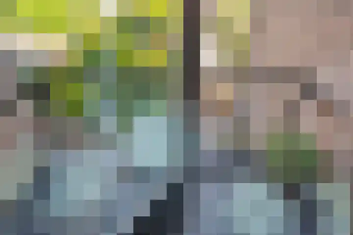 Marnixlaan 346 Utrecht thumbnail 20