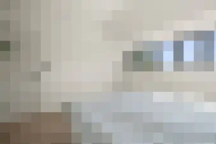 Marnixlaan 346 Utrecht thumbnail 25