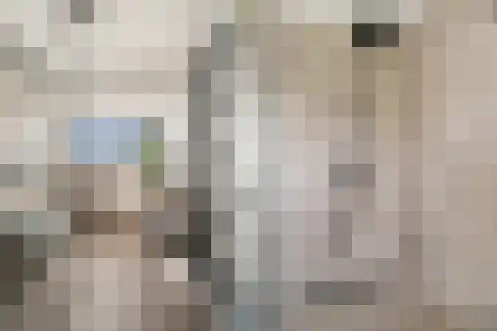 Marnixlaan 346 Utrecht thumbnail 27