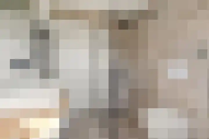 Marnixlaan 346 Utrecht thumbnail 29