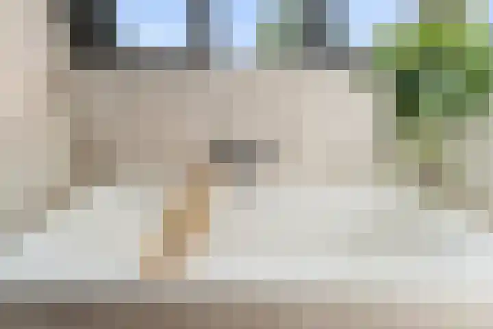 Marnixlaan 346 Utrecht thumbnail 30