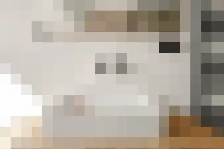 Marnixlaan 346 Utrecht thumbnail 31
