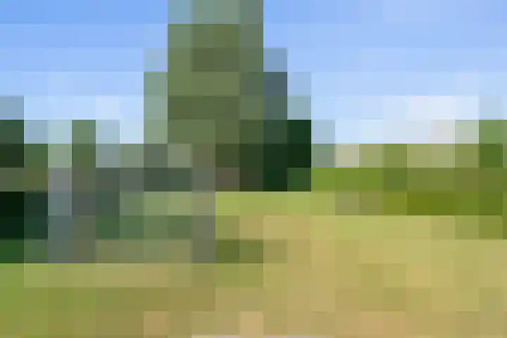 Marnixlaan 346 Utrecht thumbnail 33