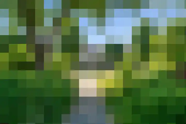 Marnixlaan 346 Utrecht thumbnail 34