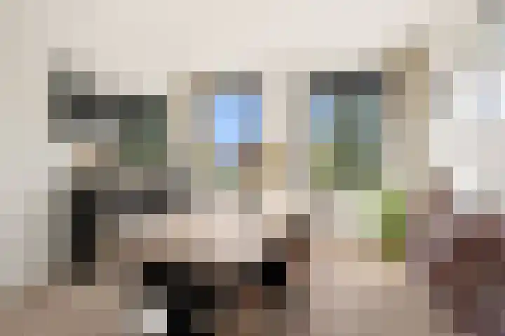 Marnixlaan 346 Utrecht thumbnail 7