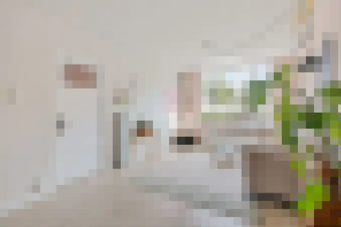 Marnixlaan 352 Utrecht thumbnail 11