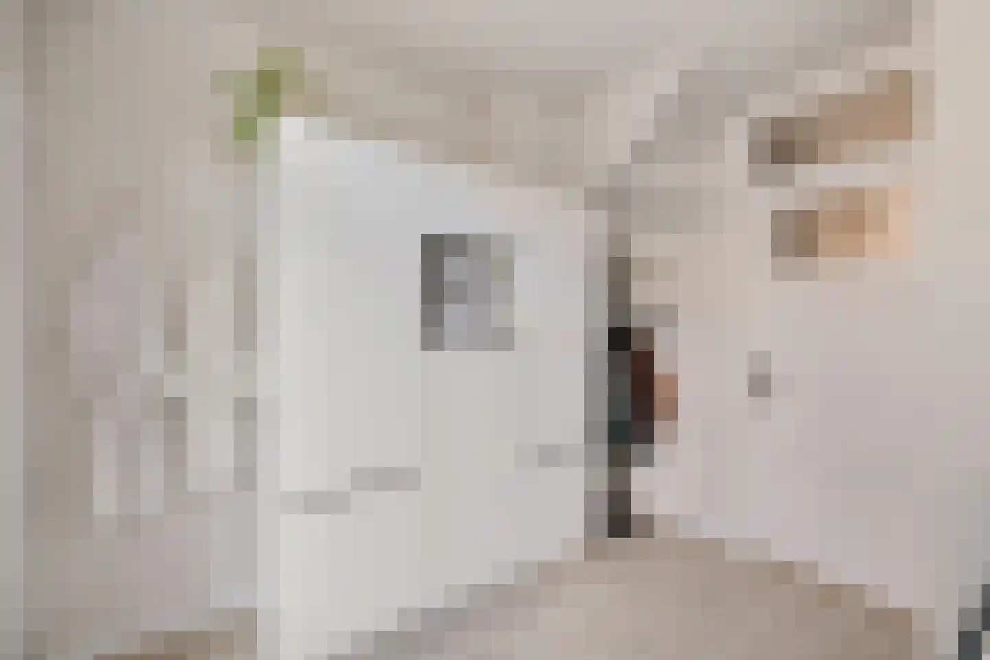 Marnixlaan 352 Utrecht thumbnail 22