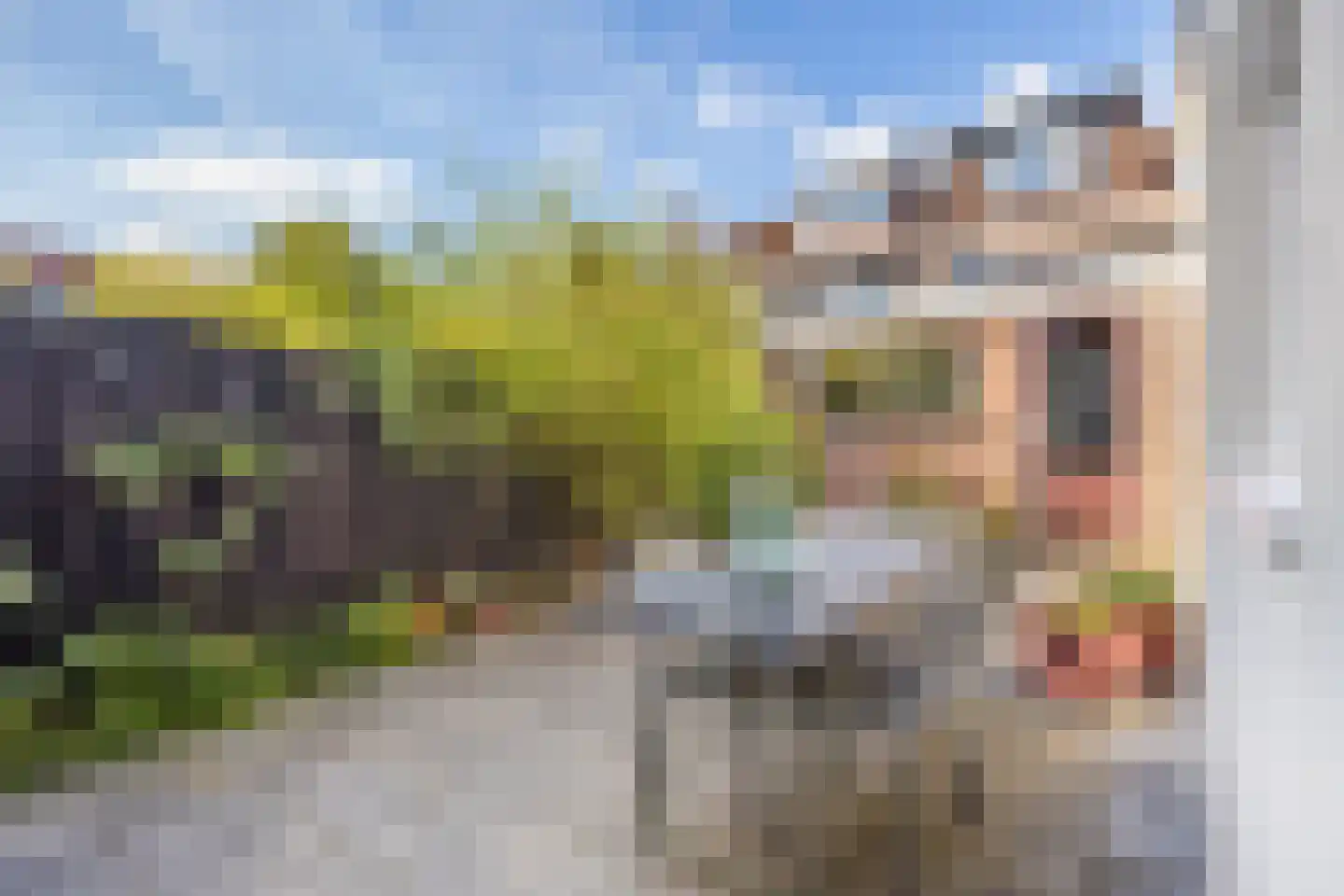 Marnixlaan 352 Utrecht thumbnail 25