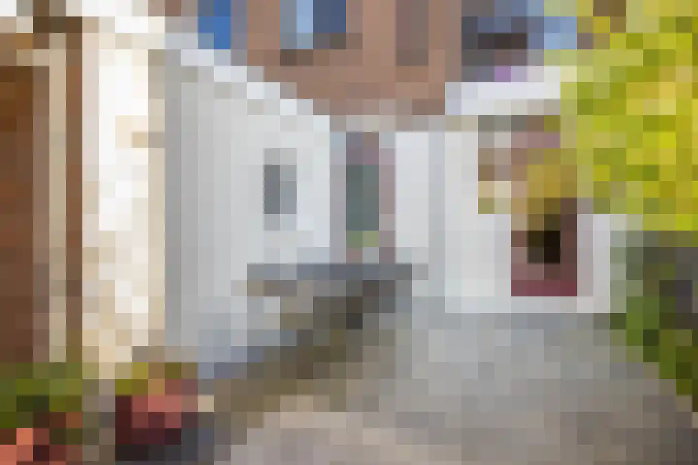 Marnixlaan 352 Utrecht thumbnail 28